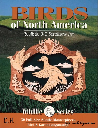 North American Wildlife Realistic 3D Scrollsaw Art