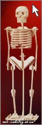 Скелет человека из фанеры